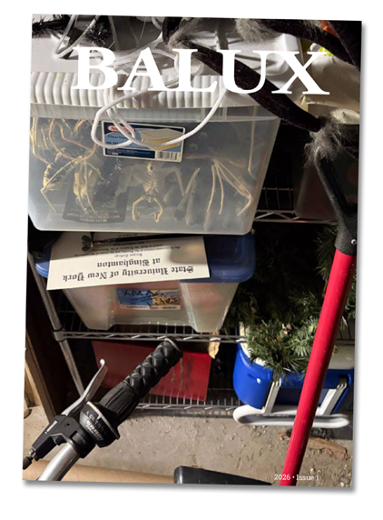 BALUX magazine cover